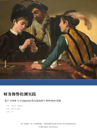 财务舞弊检测实践